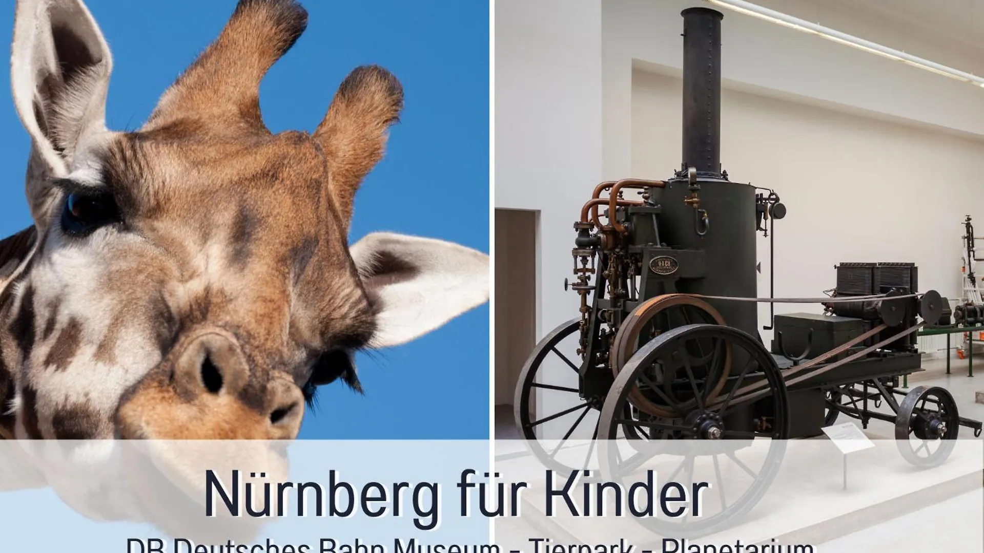 Newman Horizon Apartments Zirndorf - Playmobil Funpark, Naehe Messe Nuernberg Und Fuerth, 4 Pers, 24H Self Checkin, Waschmaschine, Grosser Parkplatz